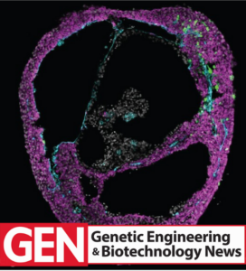 GEN Biotechnology News